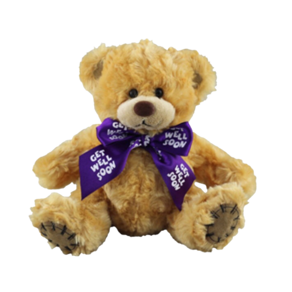 Cute brown soft toy bear with purple bow saying "get well soon"