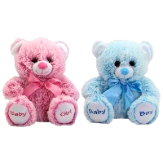 Two teddies, one blue with baby boy on its feet and one pink with baby girl on its feet