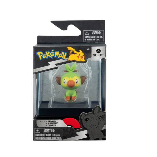 Pokemon Collectible in packet 