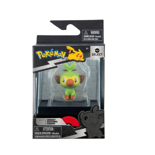 Pokemon Collectible in packet 